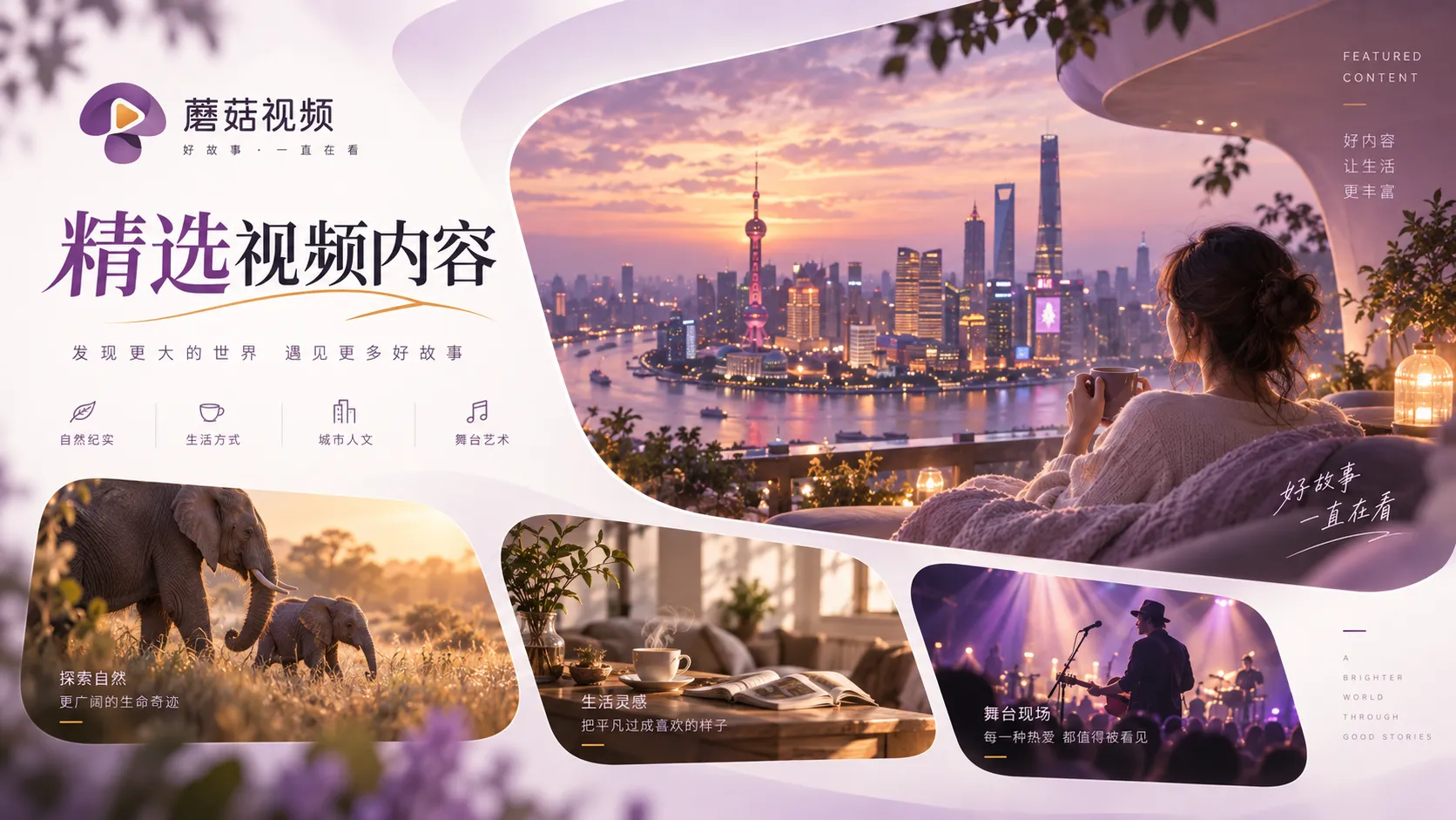 综艺观看主题视觉图